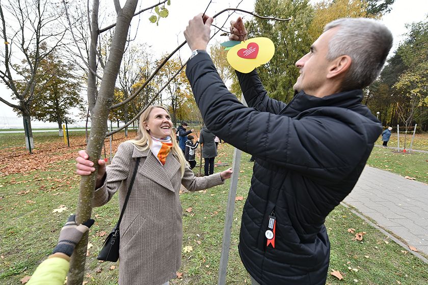 На аллее между деревьями растущими друг за другом стоят скамейки